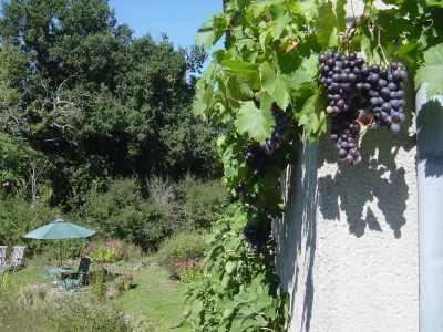 Chez Tartaud Villa Lathus St Remy Exterior photo